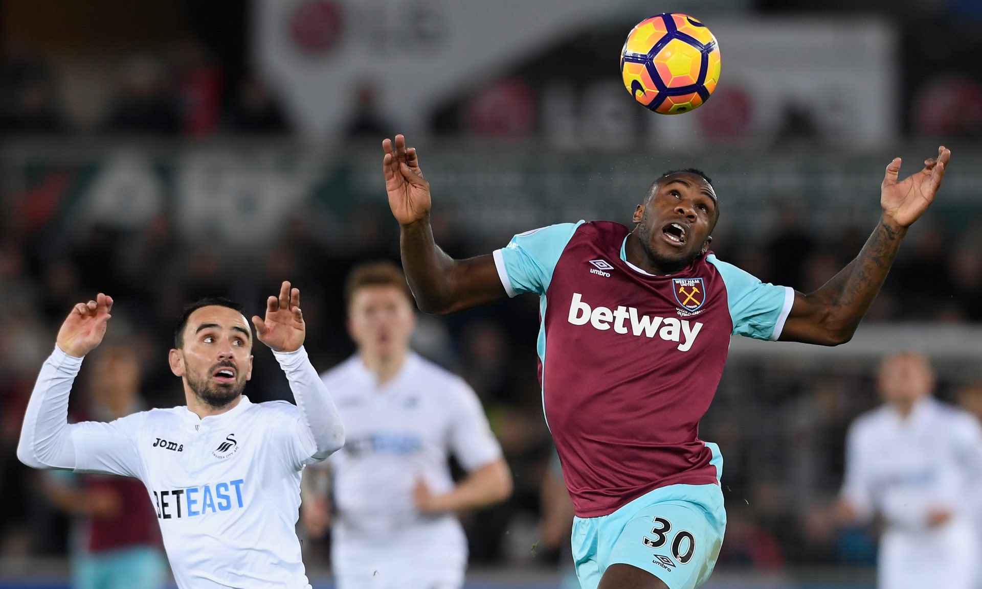 这种不同文 这种不同文